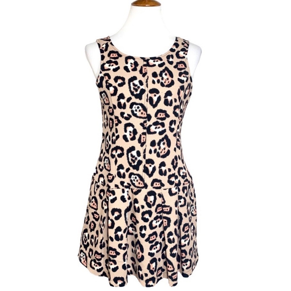 2/$20🌸 In Luv Cheetah Drop Waist Skater Dress